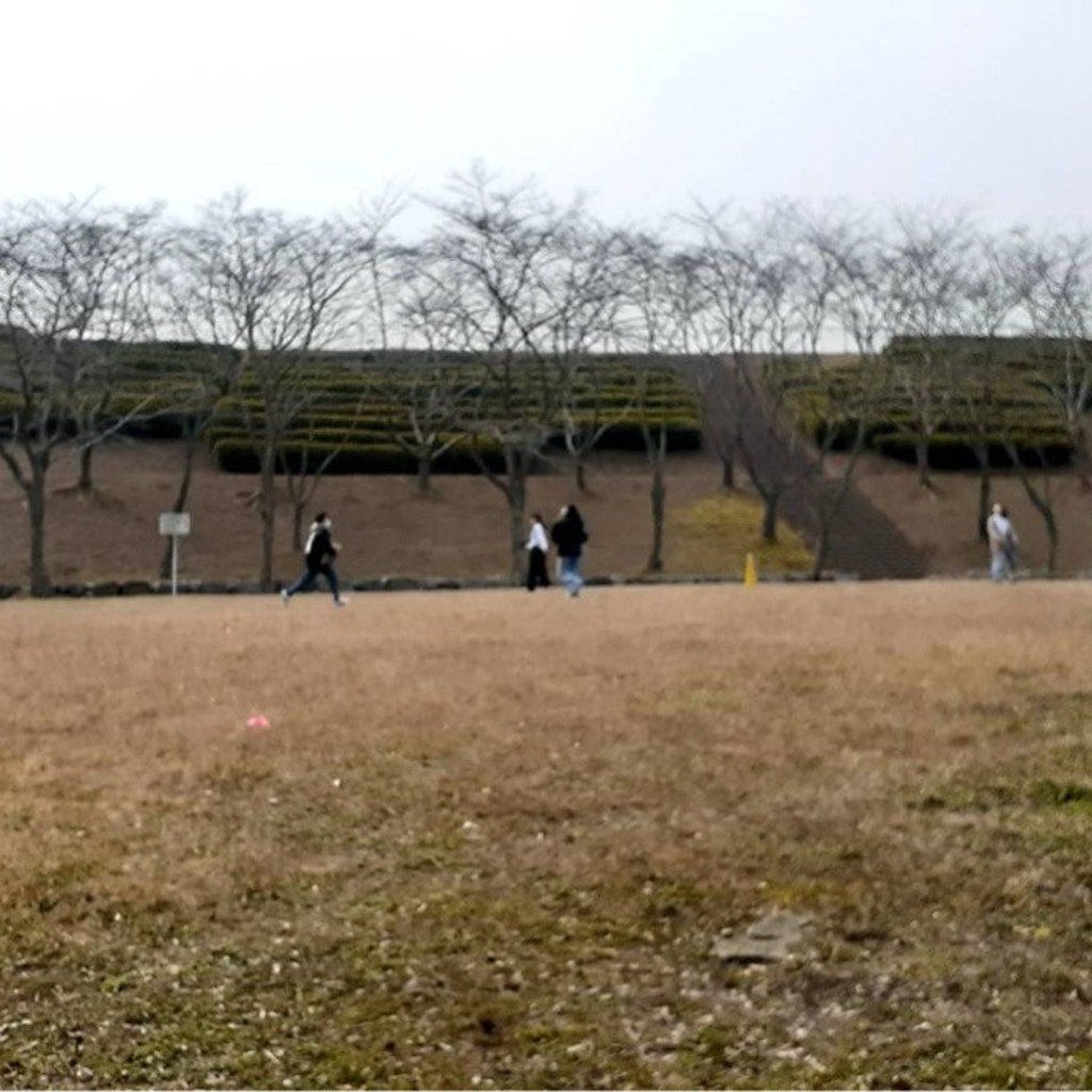 実際訪問したユーザーが直接撮影して投稿した湖沼 / 池昭和池の写真