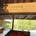 実際訪問したユーザーが直接撮影して投稿した五台山植物園 / 樹木園高知県立牧野植物園の写真