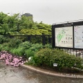 実際訪問したユーザーが直接撮影して投稿した山手町公園アメリカ山公園の写真