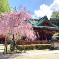 実際訪問したユーザーが直接撮影して投稿した丸の内神社尾崎神社の写真