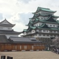 実際訪問したユーザーが直接撮影して投稿した本丸城 / 城跡名古屋城の写真