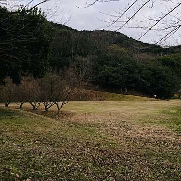 実際訪問したユーザーが直接撮影して投稿した国分寺町新名公園橘の丘公園の写真