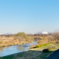 実際訪問したユーザーが直接撮影して投稿した池辺町公園鴨池人道橋下 鶴見川河川敷の写真