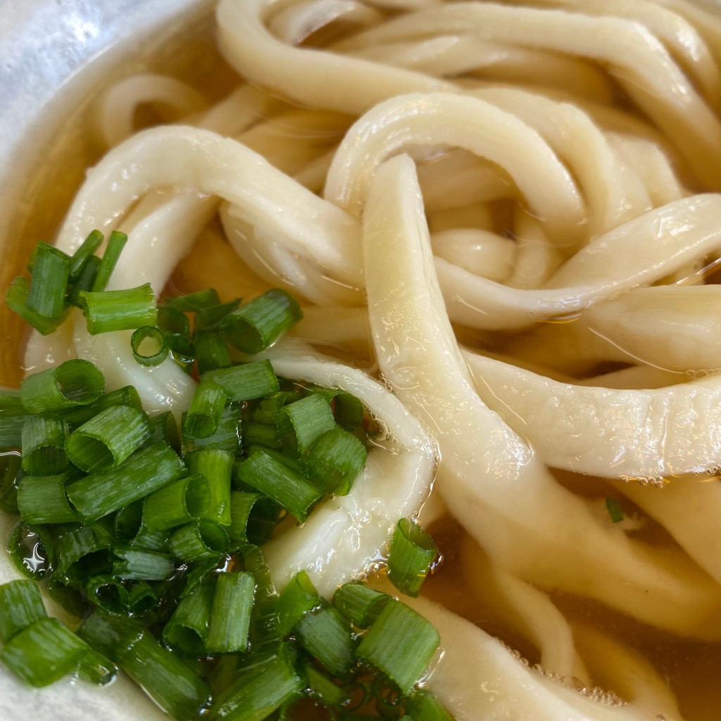 ユーザーが投稿したうどん かけの写真 - 実際訪問したユーザーが直接撮影して投稿した富士見町うどん手打ちうどん こげらの写真