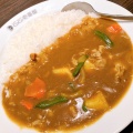 ポークカレー - 実際訪問したユーザーが直接撮影して投稿した大須カレーCoCo壱番屋 中区矢場町店の写真のメニュー情報