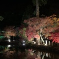 実際訪問したユーザーが直接撮影して投稿した下市寺龍泉寺の写真