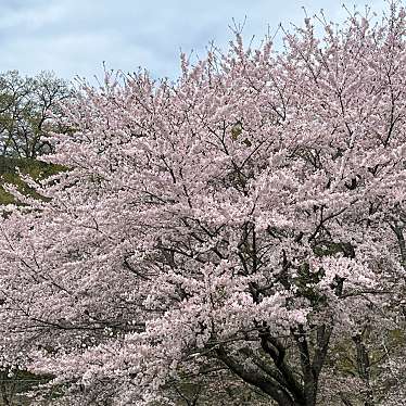 栗の里公園のundefinedに実際訪問訪問したユーザーunknownさんが新しく投稿した新着口コミの写真