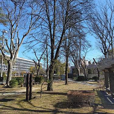 実際訪問したユーザーが直接撮影して投稿した杉妻町公園紅葉山公園の写真