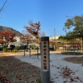 実際訪問したユーザーが直接撮影して投稿した井口明神公園西部埋立第四公園の写真