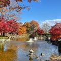 実際訪問したユーザーが直接撮影して投稿した三波川公園桜山公園の写真