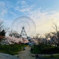 実際訪問したユーザーが直接撮影して投稿した築港公園天保山公園の写真