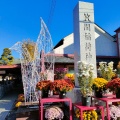 実際訪問したユーザーが直接撮影して投稿した笠間神社笠間稲荷神社の写真