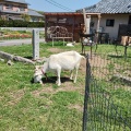 実際訪問したユーザーが直接撮影して投稿した牟礼町大町ベーカリーベーカリーFLAGの写真