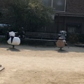 実際訪問したユーザーが直接撮影して投稿した長野西公園長野西公園の写真