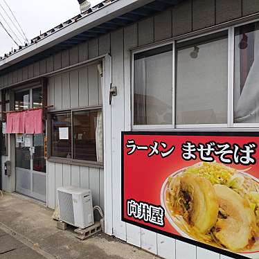 まもーみもーむもーさんが投稿した大平町西水代ラーメン専門店のお店向井屋の写真