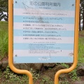 実際訪問したユーザーが直接撮影して投稿した海の公園公園海の公園の写真