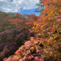 実際訪問したユーザーが直接撮影して投稿した弥彦公園弥彦公園の写真