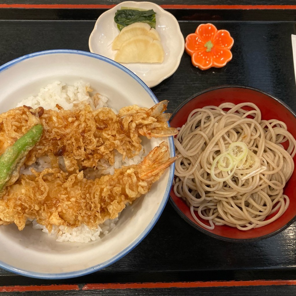 ユーザーが投稿した海老天丼の写真 - 実際訪問したユーザーが直接撮影して投稿した伊勢佐木町うどん戸隠 本店の写真