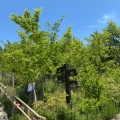 実際訪問したユーザーが直接撮影して投稿した本町田公園町田薬師池公園 四季彩の杜 西園の写真