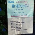 実際訪問したユーザーが直接撮影して投稿した鼻高町花のきれいなスポット鼻高展望花の丘の写真