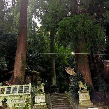 YST10さんが投稿した宮原神社のお店小国両神社/オグニリョウジンジャの写真