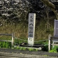 実際訪問したユーザーが直接撮影して投稿した山脇町古墳八幡山古墳の写真