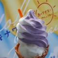 ブルーシールサンデー - 実際訪問したユーザーが直接撮影して投稿した栄アイスクリームブルーシール 名古屋栄店の写真のメニュー情報