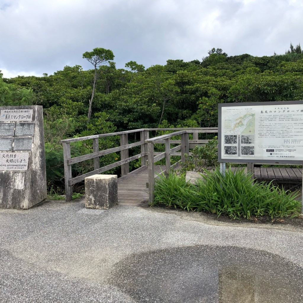 まーしぃちゃんさんが投稿した植物園 / 樹木園のお店島尻のマングローブ林/シマジリノマングローブリンの写真