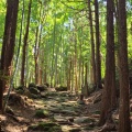 実際訪問したユーザーが直接撮影して投稿した木本町山 / 峠松本峠の写真