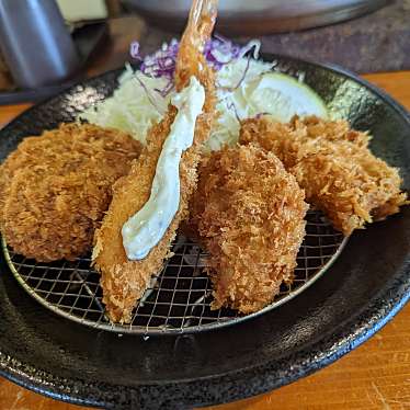 Shantさんが投稿した大琳寺とんかつのお店とんかつ 赤坂 水野 菊池店の写真