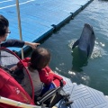 実際訪問したユーザーが直接撮影して投稿した津田町鶴羽水族館 / アクアリウム日本ドルフィンセンターの写真