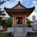 実際訪問したユーザーが直接撮影して投稿した小石川寺傳通院の写真