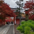 実際訪問したユーザーが直接撮影して投稿した浄土寺真如町寺真如堂の写真