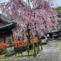 実際訪問したユーザーが直接撮影して投稿した丸の内神社尾崎神社の写真