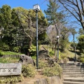 実際訪問したユーザーが直接撮影して投稿した青葉台公園西郷山公園の写真