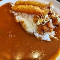 実際訪問したユーザーが直接撮影して投稿した小戸カレーカレーの二重丸 小戸店の写真