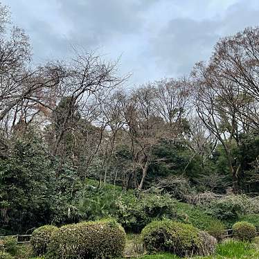 実際訪問したユーザーが直接撮影して投稿した南大谷公園自然保護林の写真