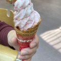 実際訪問したユーザーが直接撮影して投稿した七城町岡田アイスクリームとりで農園  メロンドーム店の写真
