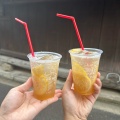 LEMON&SODA - 実際訪問したユーザーが直接撮影して投稿した宮島町カフェSarasvatiの写真のメニュー情報