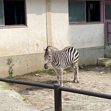 熊本市動植物園のundefinedに実際訪問訪問したユーザーunknownさんが新しく投稿した新着口コミの写真