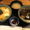 デミカツ丼 - 実際訪問したユーザーが直接撮影して投稿した平和町とんかつカツ丼 野村の写真のメニュー情報