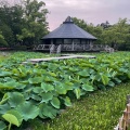 実際訪問したユーザーが直接撮影して投稿した弁天公園千葉公園の写真