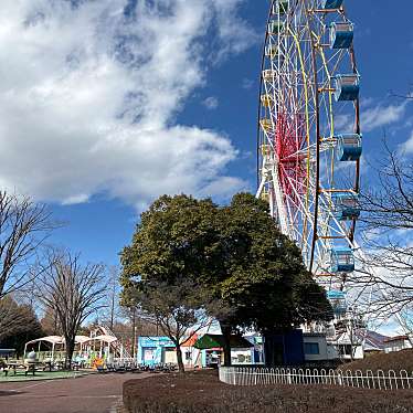 実際訪問したユーザーが直接撮影して投稿した金井遊園地 / テーマパーク渋川スカイランドパークの写真