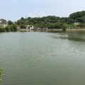 実際訪問したユーザーが直接撮影して投稿した垣生公園垣生公園の写真