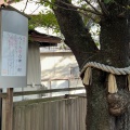 実際訪問したユーザーが直接撮影して投稿した下吉田神社冨士山下宮小室浅間神社の写真