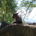 実際訪問したユーザーが直接撮影して投稿した扇町動物園飯田市立動物園の写真