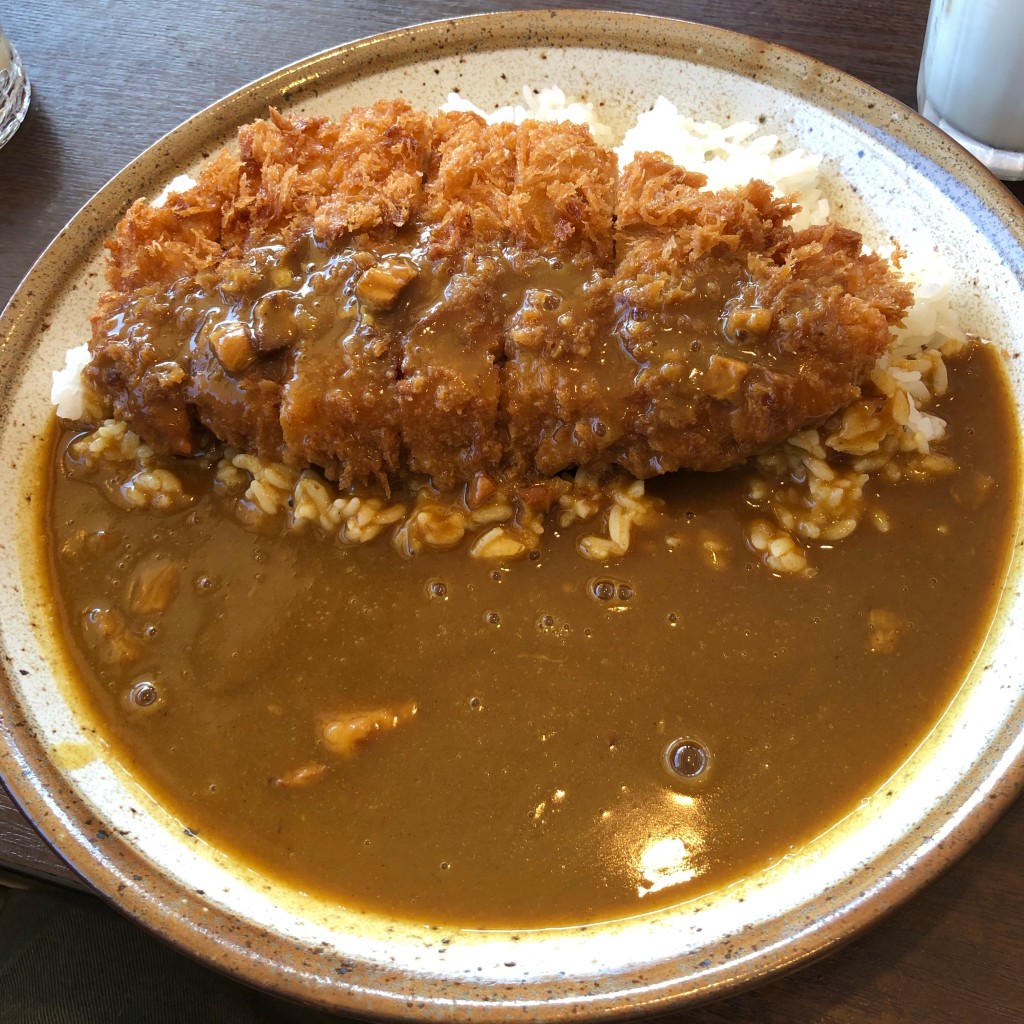 ユーザーが投稿したトンカツカレーの写真 - 実際訪問したユーザーが直接撮影して投稿した早岐カレーCoCo壱番屋 早岐JR駅前店の写真