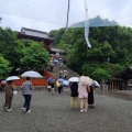 実際訪問したユーザーが直接撮影して投稿した雪ノ下神社鶴岡八幡宮の写真