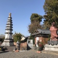 実際訪問したユーザーが直接撮影して投稿した深溝町寺江西寺 (祈願だるま寺)の写真