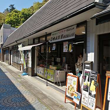 実際訪問したユーザーが直接撮影して投稿した秋芳町秋吉和菓子きれん製菓秋芳洞入口店の写真